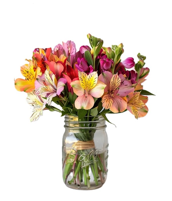 Bouquet coloré d’Alstroemeria en pot Mason - 30 fleurs