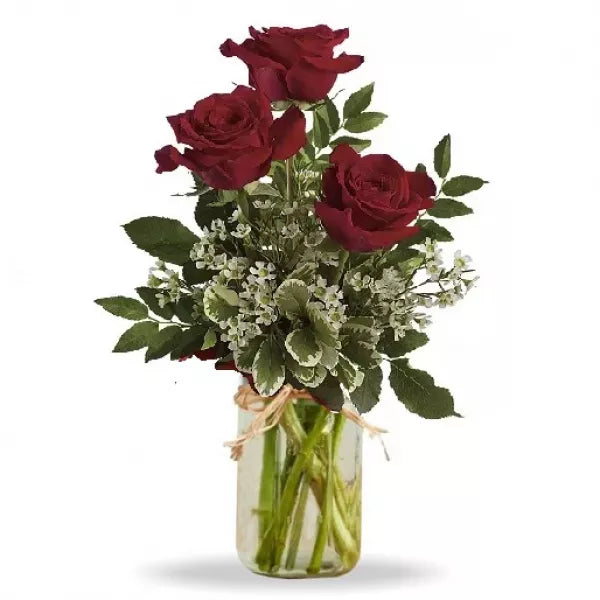 Radiant Roses in a Mason Jar - Flower Delivery New Zealand