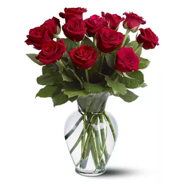 One Dozen Long Stem Red Rose Special - Flower Delivery New Zealand