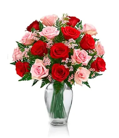 Brume Écarlate – roses rouges et roses – Fleur Québec