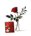 Rose rouge unique avec carte de voeux - Cadeau parfait pour les occasions spéciales