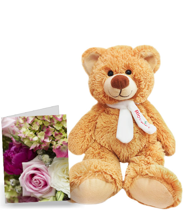 Coffret cadeau exclusif ours en peluche et carte de souhaits