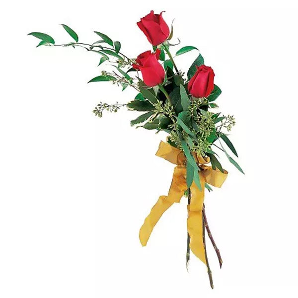 Touch Of Red Roses - Flower Delivery New Zealand