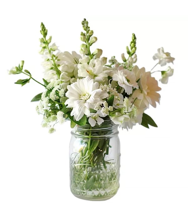 Merveille blanche dans un pot Mason