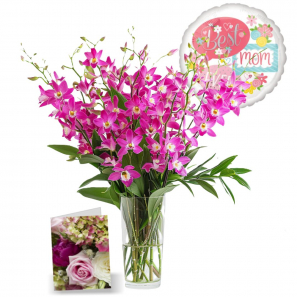 100 Fleurs d'Orchidées de la Fête des Mères II