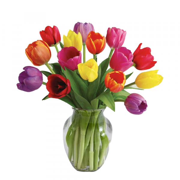 15 Tulipes Multicolores buy at Fleur Quebec