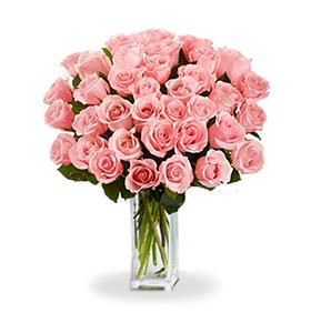 3 Douzaines de longues tiges de roses roses buy at Fleur Quebec