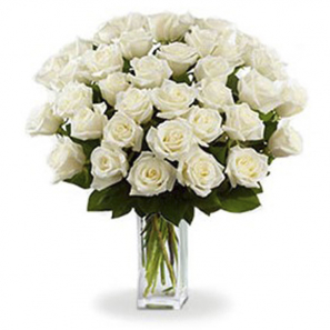 3 douzaines de longues tiges de roses blanches