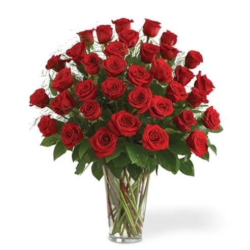 36 Roses rouges à longues tiges buy at Fleur Quebec