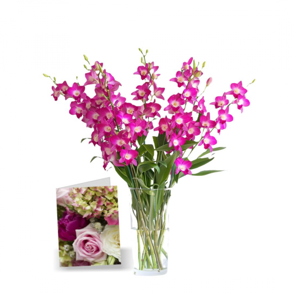 50 Fleurs d'Orchidées de la Fête des Mères I buy at Fleur Quebec