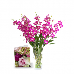 50 Fleurs d'Orchidées de la Fête des Mères I