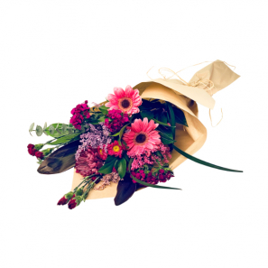 Collection des Fleurs Rose Pourpre II