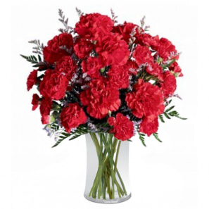 Explosion de Carnation