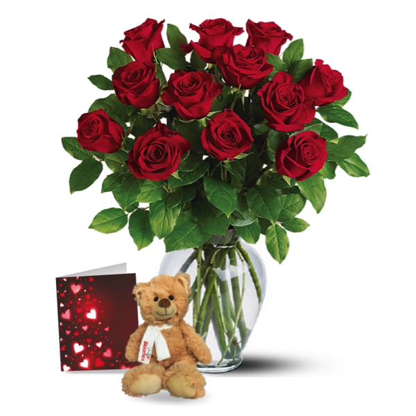 12 Roses Rouges & Ours en Peluche buy at Fleur Quebec