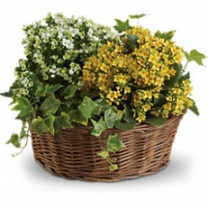 Panier de jardinière abondant