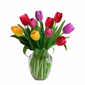 10 Tulipes Multicolores buy at Fleur Quebec