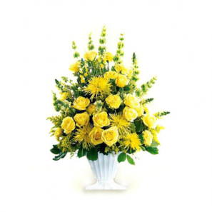 Une Bénédiction plus Brillante buy at Fleur Quebec