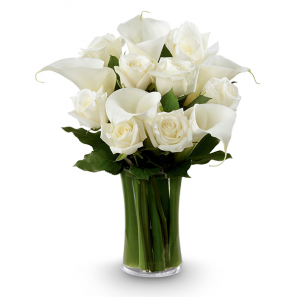 Élégance Blanche